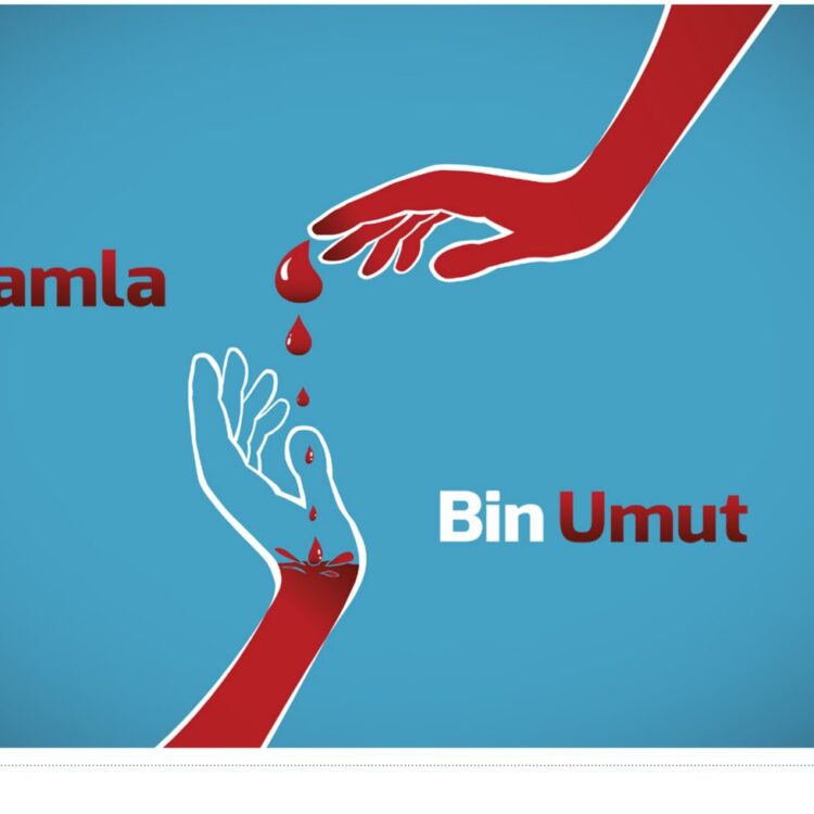 Kızılay projesi için slogan ve illüstrasyon çalışmasını gösteren portfolyo görseli